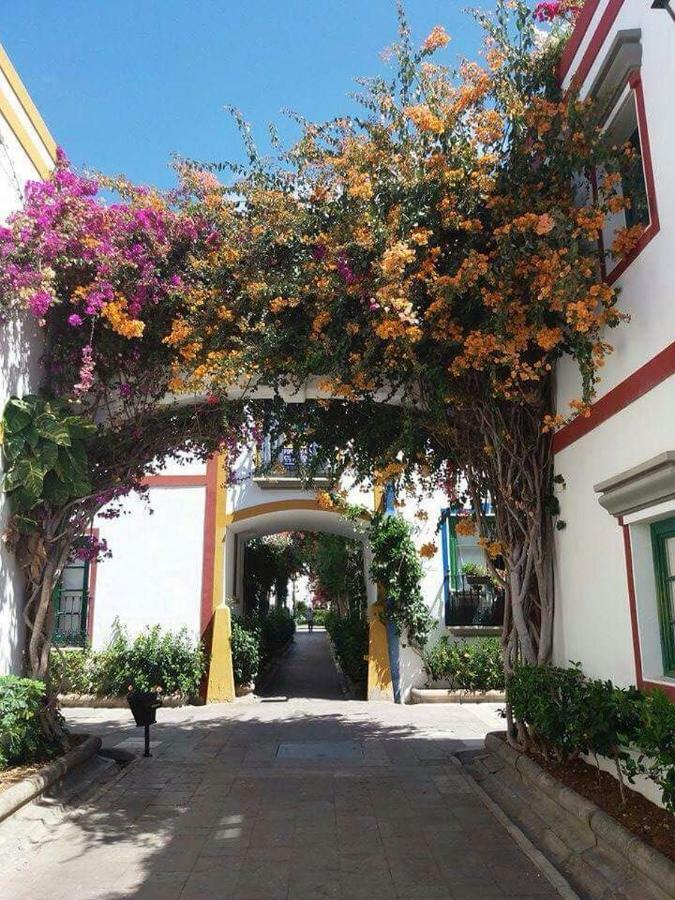 阿吉内金海滩Estrella Del Mar Amazing Loft Casa Cosy公寓 外观 照片