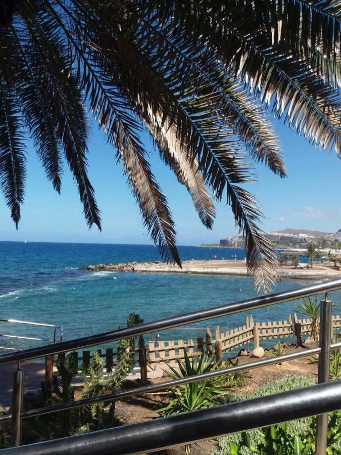 阿吉内金海滩Estrella Del Mar Amazing Loft Casa Cosy公寓 外观 照片